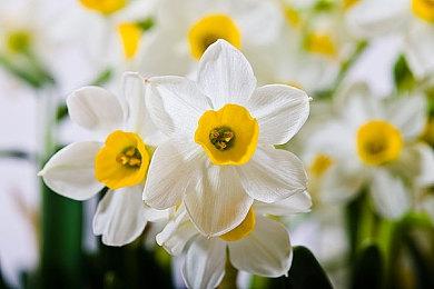 轻Rogue游戏《梅林之手》6月14日登陆各大平台